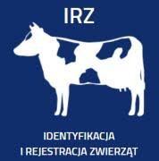 irzlogo irzlogo